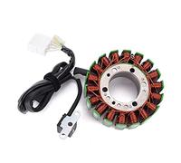 BTFWM Bobina di compensazione del generatore parti motore motociclo statore magnete, for, T-MAX TMAX 500 XP500 XP 2004-2007 5VU-81410-02 Bobina di accensione