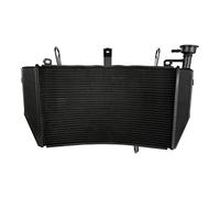 BTFWM di raffreddamento del dispositivo di raffreddamento del radiatore del motore del motociclo, for Monster, 821 2014 2015 2016 Alluminio Radiatore per moto