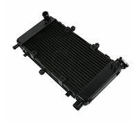 BTFWM di raffreddamento del dispositivo radiatore motore motociclo, for, FZ600 FZ6 FZ6N FZ6S 2004-2010 2009 2008 Radiatore per moto