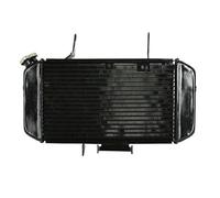 BTFWM di raffreddamento del radiatore del motore del motociclo, for DL650 DL 650 V Strom 2004-2011 Radiatore per moto