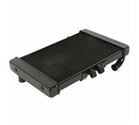 BTFWM di raffreddamento del radiatore dell'acqua ricambio for moto, for CB1000 1994-1995 Systeme De Refroidissement Radiateur Radiatore per moto