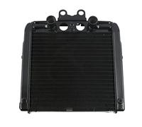 BTFWM Dispositivo di raffreddamento del radiatore del motore in alluminio for moto, for Harley, Davidson V Rod VRSCB VRSCA 2004-2013 Radiatore per moto
