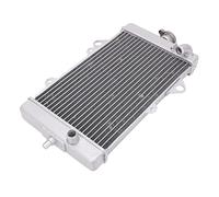 BTFWM Dispositivo di raffreddamento del serbatoio dell'acqua radiatore motociclo, for, YFM700 YFM 700 2013-2020 Radiatore per moto