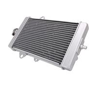 BTFWM Dispositivo di raffreddamento del serbatoio dell'acqua radiatore motociclo, for, YFM700 YFM 700 2013-2020 Radiatore per moto