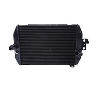 BTFWM Moto Motore Radiatore di Raffreddamento del Dispositivo, for, XVZ1300 XVZ 1300 ROYAL STAR 1999-2013 2006 2009 Radiatore per moto