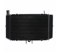 BTFWM Moto Sostituzione Del Radiatore di Raffreddamento In Alluminio, for CB500 CB500S 1993-2004 1994 1995 1996 2001 2002 2003 Radiatore per moto