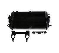 BTFWM Radiatore for motocicletta con supporto for staffa, for Harley, Street 500 750 2015 2016 2017 2018 Radiatore per moto