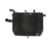 BTFWM Raffreddamento radiatore moto, for VFR400 NC30 RVF400 NC35 VFR RVF 400 NC 30 35 Radiatore per moto
