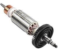 BTFWM Rotore, for 9565C 9565CV 9565CVR 9565PC 9565PCV, tensione 220 240V, for gamma, Ricambi per rotore