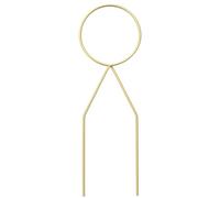 BTGYTTKL Supporto per Piante 2 Pezzi Decorazioni picchetti di Supporto for Piante Vaso Fiori Forniture da Giardino Staffa for Bastoncini antiruggine(Color-02)