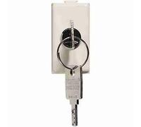 BTIA5007D Deviatore a chiave 1P 16AX 250 Vac