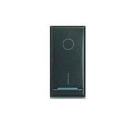 BTICINO AXOLUTE INTERRUTTORE 2 POLI 16A ANTRACITE HS4002