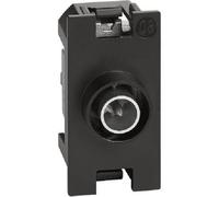 Living Now - Presa TV diretta 1 mod - K4202D