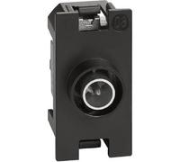 Living Now - Presa TV diretta 1 mod - K4202P14