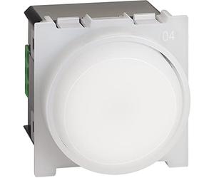 Bticino K4380 Torcia da Parete Living Now, Lampada Estraibile Ricaricabile e con Accensione Automatica in Caso di Blackout, Interruttore ON/OFF, Luce LED, Basso Consumo, 2 Moduli