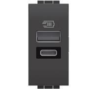 Bticino L4191AC Caricatore USB con Due Ingressi Tipo A E C, da Installare nella Placca Livinglight, per Ricaricare un Dispositivo Elettronico Fino a 15W o Due Dispositivi Assieme, 1 Modulo, Antracite