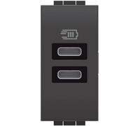 Bticino L4191CC Caricatore USB con due ingressi di tipo C, da installare nella placca Livinglight,per ricaricare un dispositivo elettronico fino a 15W o due dispositivi in simultanea,1 posto,antracite