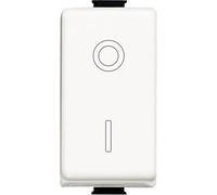 Bticino Matix interruttore bipolare AM5011