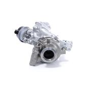 BTS TURBO T919069 Turbina
