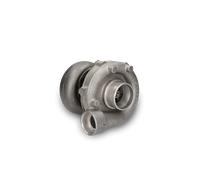 BTS TURBO T981095BL Turbina