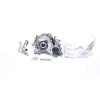 BTS TURBO T981176BT Turbina