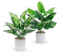 BTSD-home Confezione da 2 piante finte per interni piante tropicali | Piccole piante tropicali artificiali vivide Scrivania Bagno Decorativo Flora Artificiale Facile da Prendersi cura