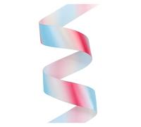 BTYQKZVPM Decorazioni per Torte Arcobaleno, Nastro di Raso Multicolore da 38 mm, Varie Misure(Color1,10Yards)