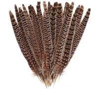 BTYQKZVPM Piume per Alberi di Natale, Confezione da 10 Piume di Coda Fagiano A Collo Ad Anello Multicolor 10-35 cm(Female,30-35cm 10pcs)