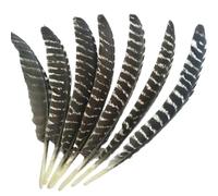 BTYQKZVPM Piume per Alberi di Natale, Piume D'Aquila 20-40 Centimetri E Confezioni da 10, 50 O 200 Pezzi(30-35cm 12-14inch,10 PCS)