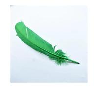 BTYQKZVPM Piume per Alberi di Natale, Piume Multicolor 25-30 Centimetri 10-12 Pollici Confezione da 10 50 100 Pezzi(Fruit1 Gn8,100 Piece)