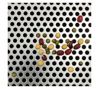 BTYQKZVPM Protezioni Rotonde per scarichi, Coperchio del Filtro di Scarico in Acciaio Inossidabile 304, Foro da 5 mm, lavello, Doccia, Cucina, Diverse Dimensioni(25x25cn)