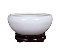 BTYQKZVPM Vasi in Ceramica per Piante da Interno, Vaso for Piante idroponiche in Ceramica, Ciotola for ninfee, Contenitore for Loto(Gold,M)