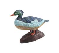 BUBEFSKD Giocattolo Partecipativo Per La Scoperta Della Fauna Selvatica Realistica Simile A Un Risorsa Scolastica Domestica Piano Lavoro Sottile Permanente Arte Giocattolo Simulazione