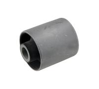 Buchase, Perno Adatto A per Mitsubishi Pajero 00 Posteriore Presa, V