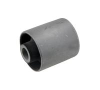 Buchase, Perno Adatto A per Mitsubishi Pajero 00 Posteriore Presa, V