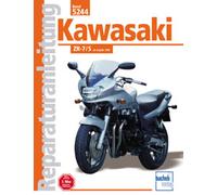 Bucheli Istruzioni Per Le Riparazioni ZR - 7/S DA 99
