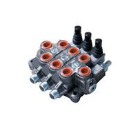 Bucher 1-6 Banca 1/2 " Bsp 45 L / Minuto D/Agendo Cilindro Idraulico Monoblocco