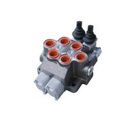 Bucher 2 Banca 3/4 Bsp 100 L / Minuto Doppio Agendo Cilindro Bobina Idraulico