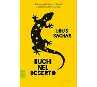 Buchi nel deserto