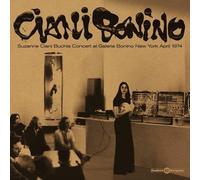 buchla concert at galeria bonino new york april 1974