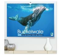 Buckelwale: Aus den blauen Tiefen der Ozeane (hochwertiger Premium Wandkalender 2026 DIN A2 quer), Kunstdruck in Hochglanz: Der Wal: Freiheit in den Tiefen der Meere