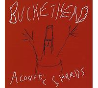 Buckethead - Acoustic Shards