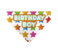 Buckle-Down Birthday Boy Text and Stars White Multi Color Slip On Collar Bandana