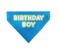 Buckle-Down Birthday Boy Text Blue Yellow White Slip On Collar Bandana Only