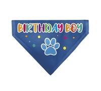 Buckle-Down Birthday Boy Text Paw and Confetti Blue Multi Color Slip On Collar B