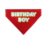 Buckle-Down Birthday Boy Text Red Yellow Blue White Slip On Collar Bandana Only
