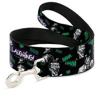 Buckle-Down Collare per Cani con Fibbia per Cintura di Sicurezza, Lunghezza 1,8 m, Larghezza 1,27 cm