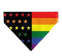 Buckle-Down Flag American Pride Rainbow Black Black Slip On CollarÊBandana Only