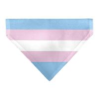 Buckle-Down Flag Transgender Baby Blue Baby Pink White Black Slip On CollarÊBand