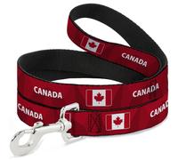 Buckle-Down International Soccer Fan Pet Leash, Dog Leash, National Team Pride S